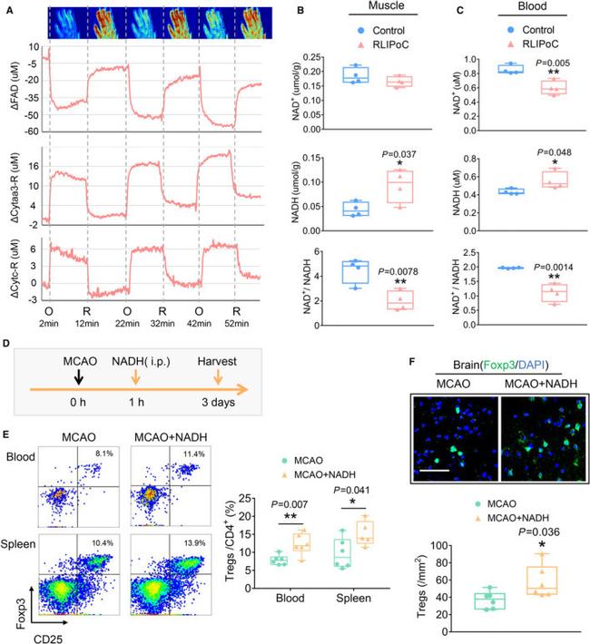 CD4 Antibody in Flow Cytometry (Flow)