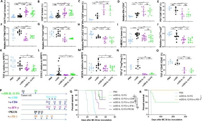 CD4 Antibody in Flow Cytometry (Flow)