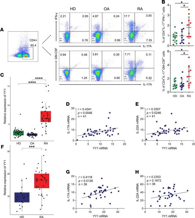 IL-17A Antibody in Flow Cytometry (Flow)