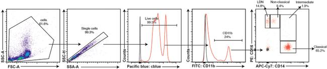 CD16 Antibody in Flow Cytometry (Flow)