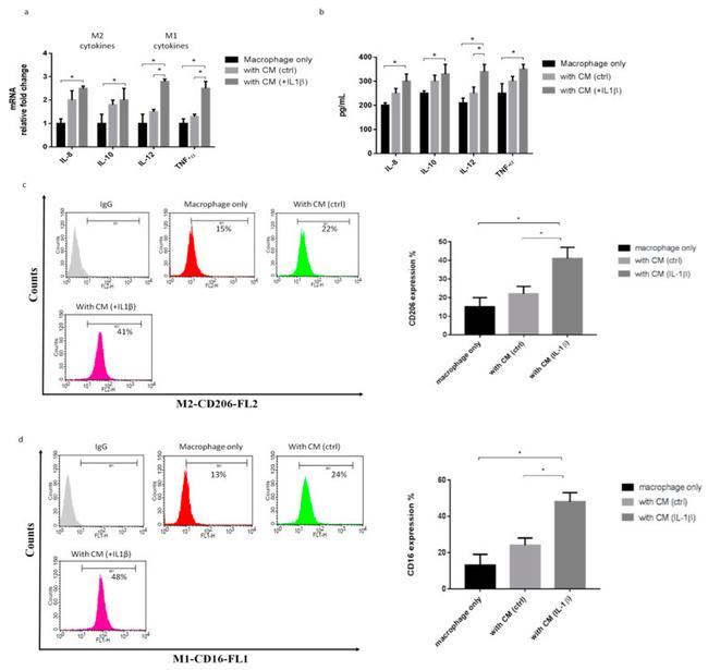 CD16 Antibody in Flow Cytometry (Flow)