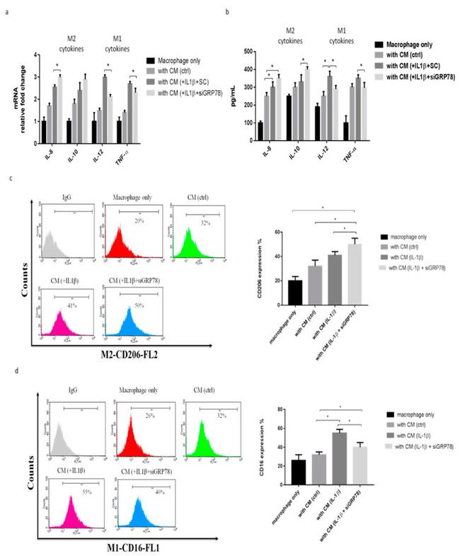 CD16 Antibody in Flow Cytometry (Flow)