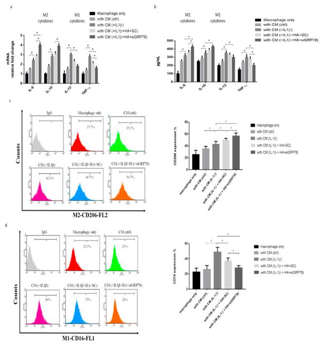 CD16 Antibody in Flow Cytometry (Flow)