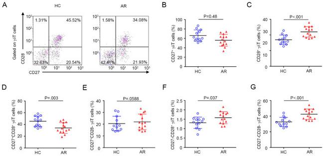 CD27 Antibody in Flow Cytometry (Flow)