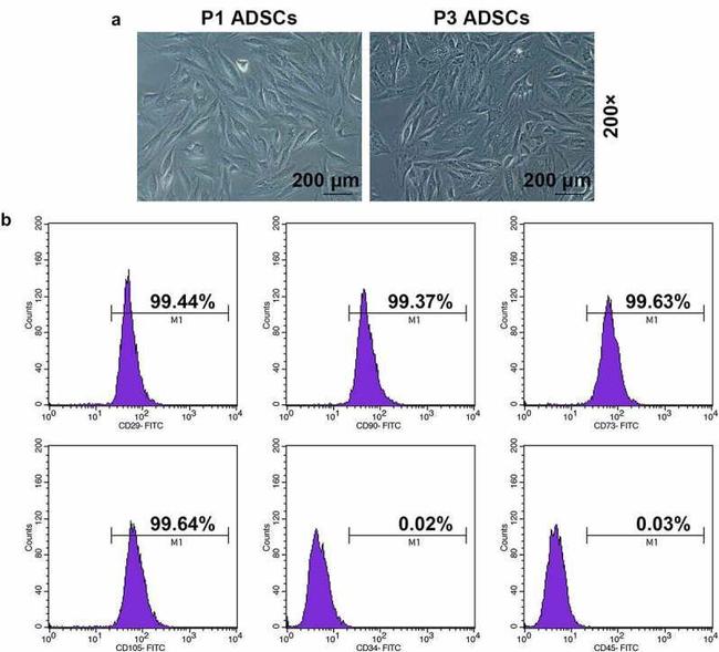 CD29 (Integrin beta 1) Antibody in Flow Cytometry (Flow)