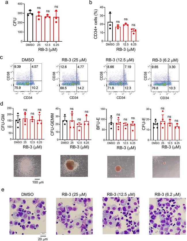 CD38 Antibody in Flow Cytometry (Flow)