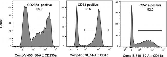 CD235a (Glycophorin A) Antibody in Flow Cytometry (Flow)