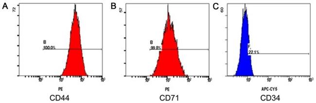 CD71 (Transferrin Receptor) Antibody in Flow Cytometry (Flow)