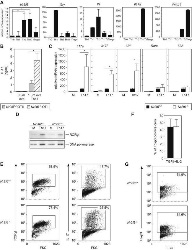 ROR gamma (t) Antibody in Flow Cytometry (Flow)