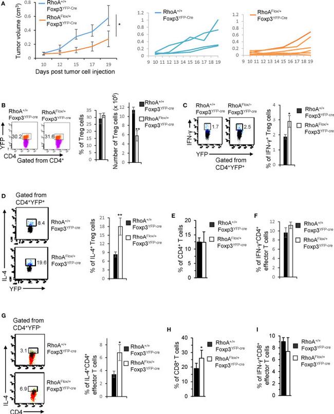 IL-4 Antibody in Flow Cytometry (Flow)