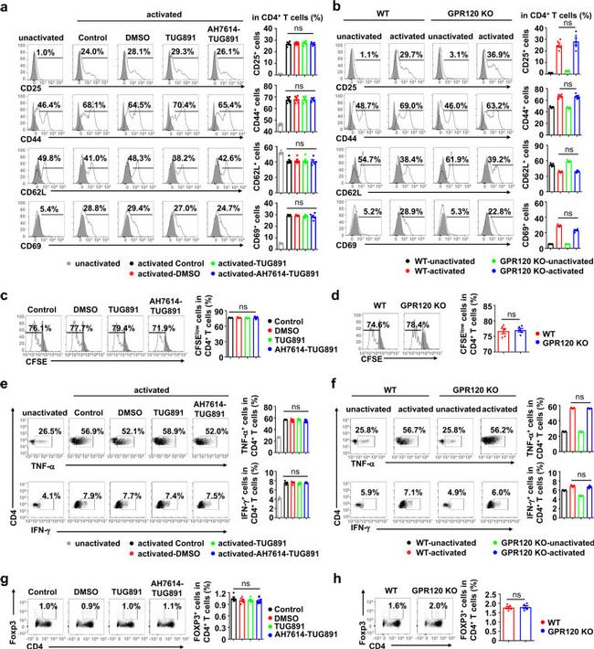 CD69 Antibody in Flow Cytometry (Flow)