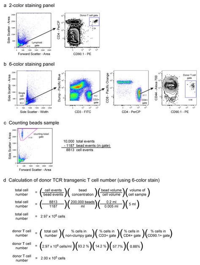 CD8 alpha Antibody in Flow Cytometry (Flow)