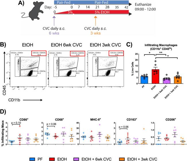 CD45 Antibody in Flow Cytometry (Flow)