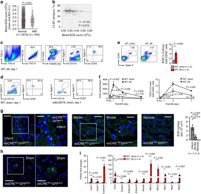 CD45 Antibody in Flow Cytometry (Flow)