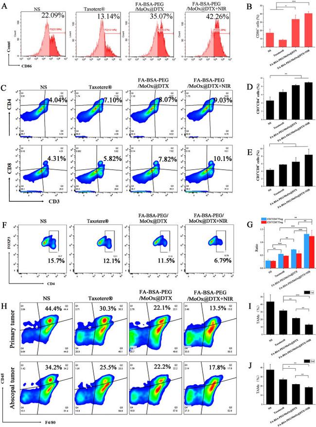 CD45 Antibody in Flow Cytometry (Flow)