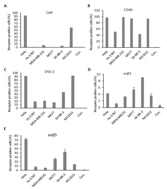 CD46 Antibody in Flow Cytometry (Flow)