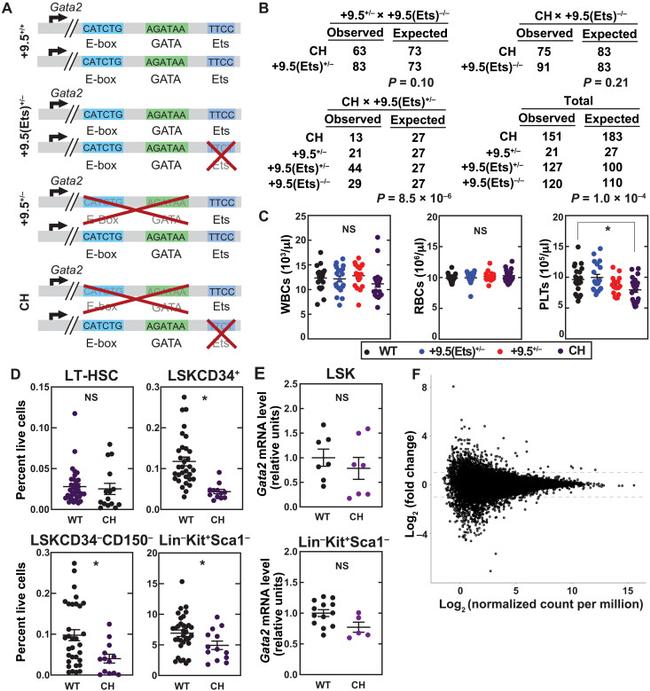 Ly-6A/E (Sca-1) Antibody in Flow Cytometry (Flow)