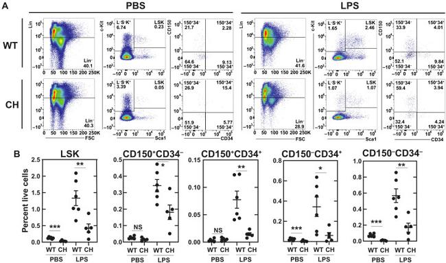 Ly-6A/E (Sca-1) Antibody in Flow Cytometry (Flow)