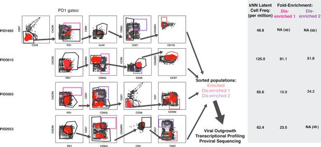 CD57 Antibody in Flow Cytometry (Flow)