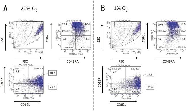 CD62L (L-Selectin) Antibody in Flow Cytometry (Flow)