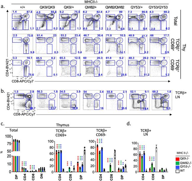 CD69 Antibody in Flow Cytometry (Flow)