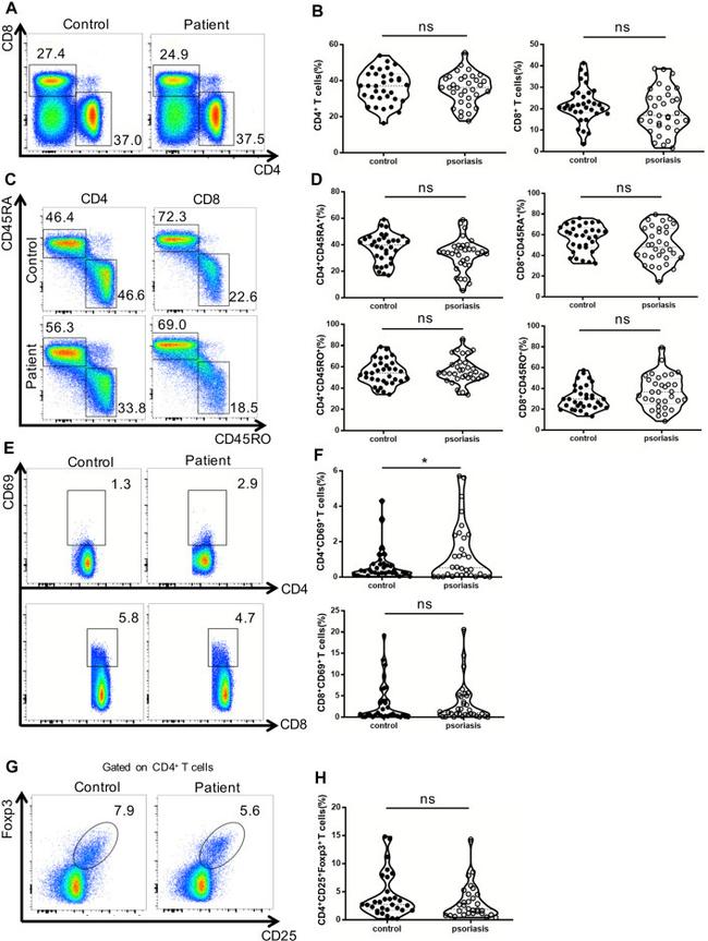 CD69 Antibody in Flow Cytometry (Flow)