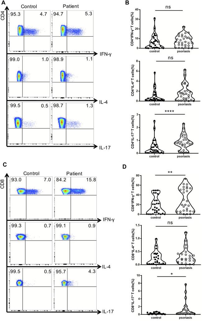 IFN gamma Antibody in Flow Cytometry (Flow)