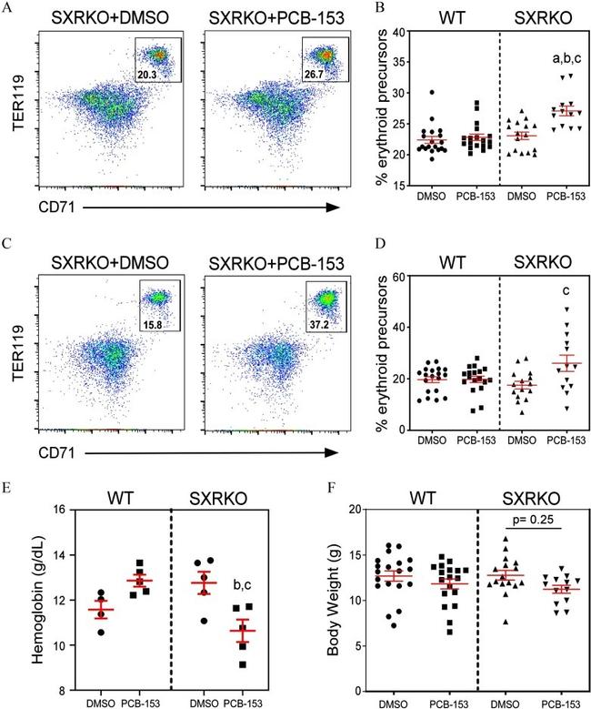 CD71 (Transferrin Receptor) Antibody in Flow Cytometry (Flow)