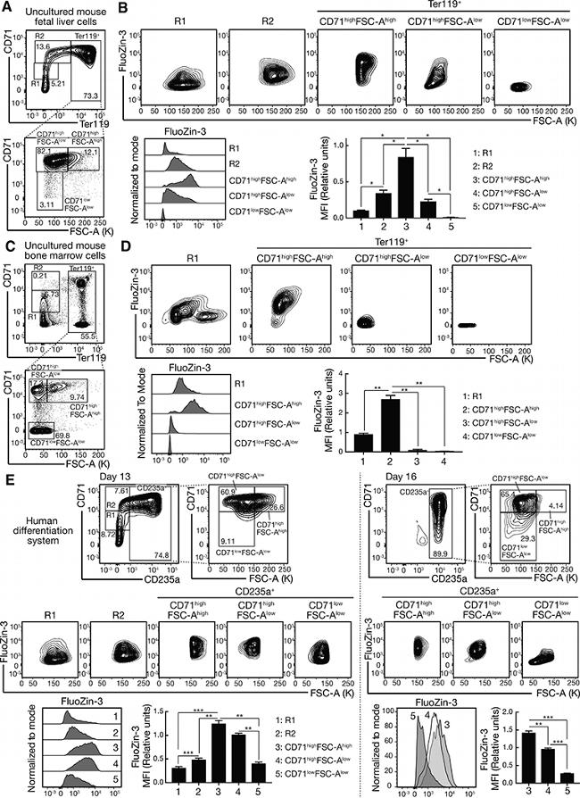 CD235a (Glycophorin A) Antibody in Flow Cytometry (Flow)