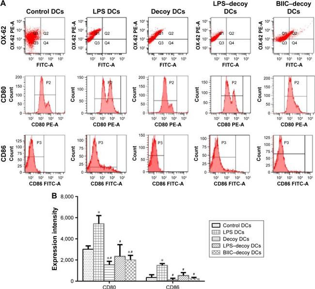 CD80 (B7-1) Antibody in Flow Cytometry (Flow)