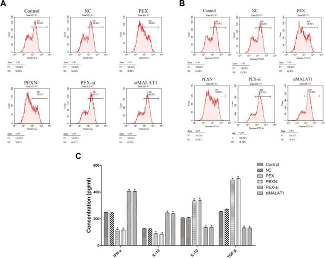 CD80 (B7-1) Antibody in Flow Cytometry (Flow)