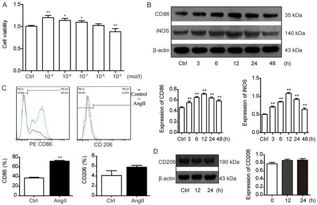 CD86 (B7-2) Antibody in Flow Cytometry (Flow)