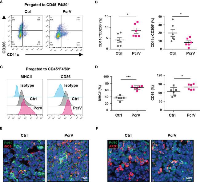 CD86 (B7-2) Antibody in Flow Cytometry (Flow)