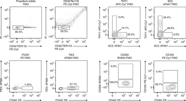 CD105 (Endoglin) Antibody in Flow Cytometry (Flow)