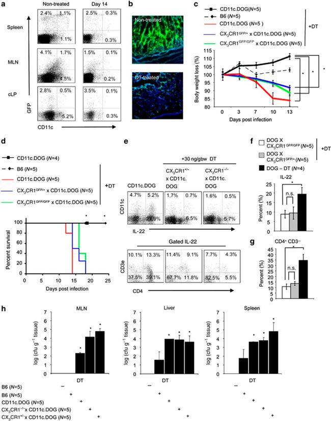 IL-10 Antibody in Flow Cytometry (Flow)