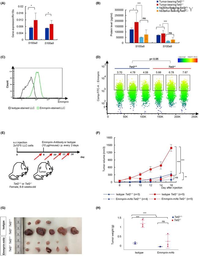 CD147 Antibody in Flow Cytometry (Flow)