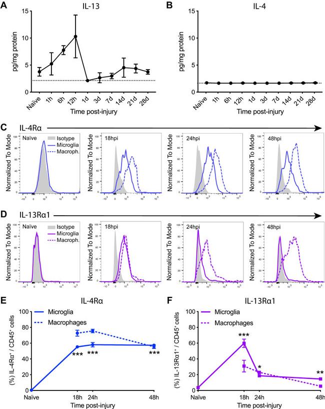 CD213a1 (IL-13Ra1) Antibody in Flow Cytometry (Flow)