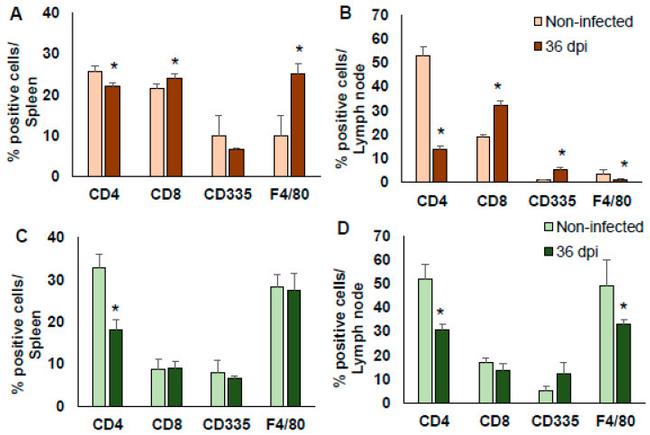 F4/80 Antibody in Flow Cytometry (Flow)