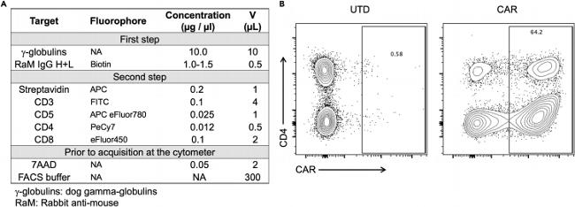 CD4 Antibody in Flow Cytometry (Flow)