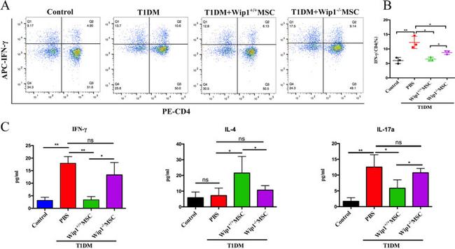 CD4 Antibody in Flow Cytometry (Flow)