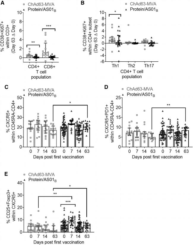 CD8 Antibody in Flow Cytometry (Flow)