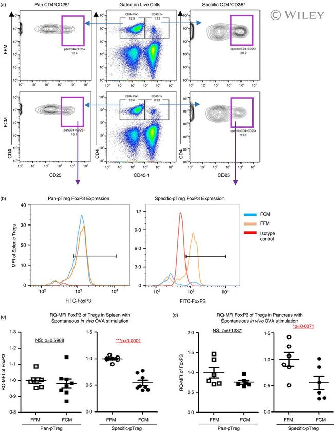 FOXP3 Antibody in Flow Cytometry (Flow)