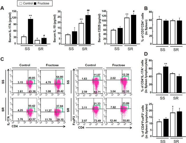 FOXP3 Antibody in Flow Cytometry (Flow)