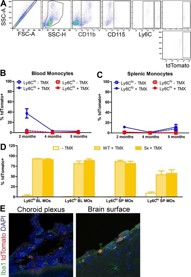 Ly-6C Antibody in Flow Cytometry (Flow)