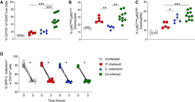 Ly-6C Antibody in Flow Cytometry (Flow)