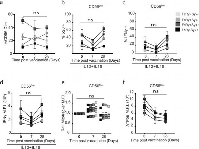 Syk Antibody in Flow Cytometry (Flow)