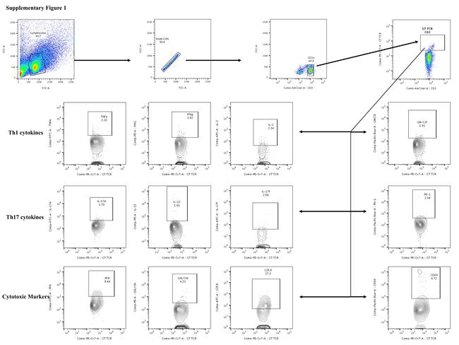 IL-22 Antibody in Flow Cytometry (Flow)