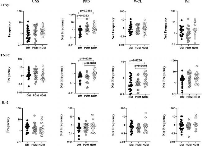 IL-2 Antibody in Flow Cytometry (Flow)