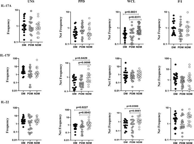 IL-22 Antibody in Flow Cytometry (Flow)