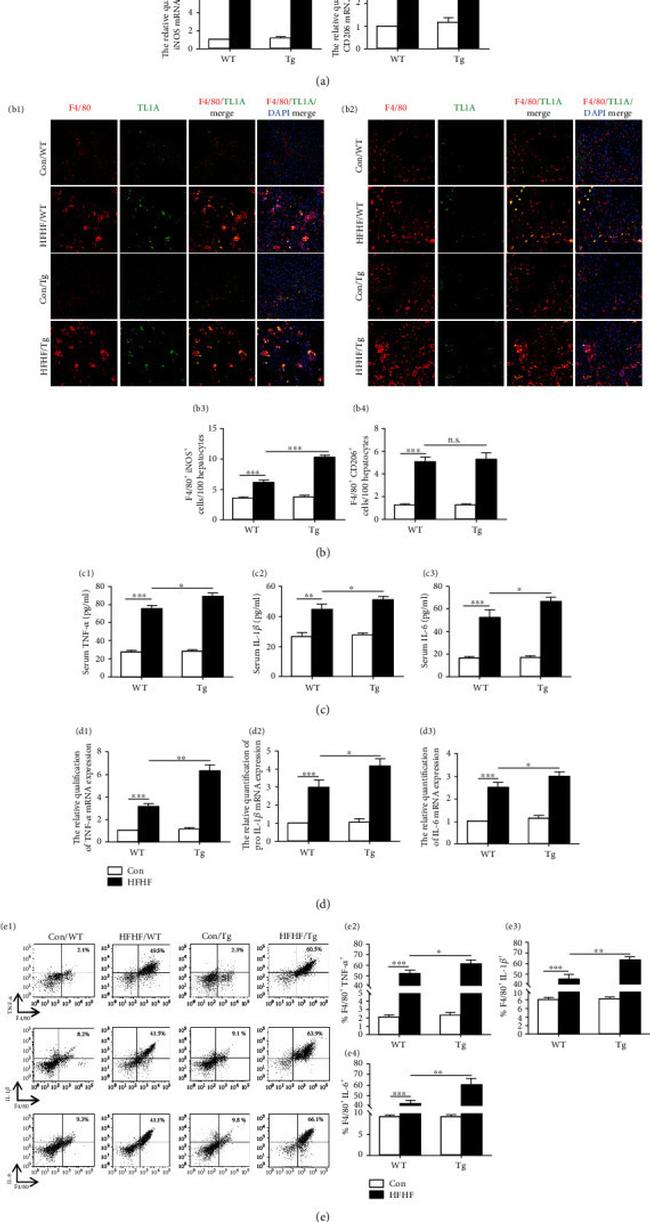 IL-1 beta (Pro-form) Antibody in Flow Cytometry (Flow)